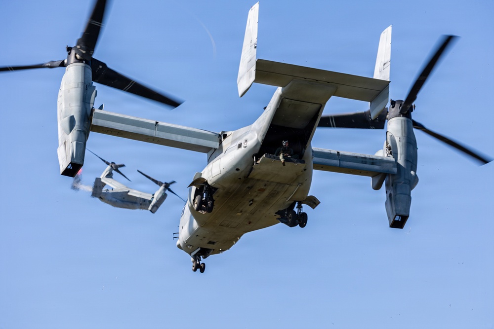 Two Bell Boeing V-22 Osprey tiltrotor aircraft are captured in flight against a clear blue sky. The foreground aircraft is prominently featured with its rear ramp open and a crew member visible in the doorway, landing gear deployed, suggesting a low-altitude operation. A second Osprey is visible in the background, slightly smaller, indicating formation flight.