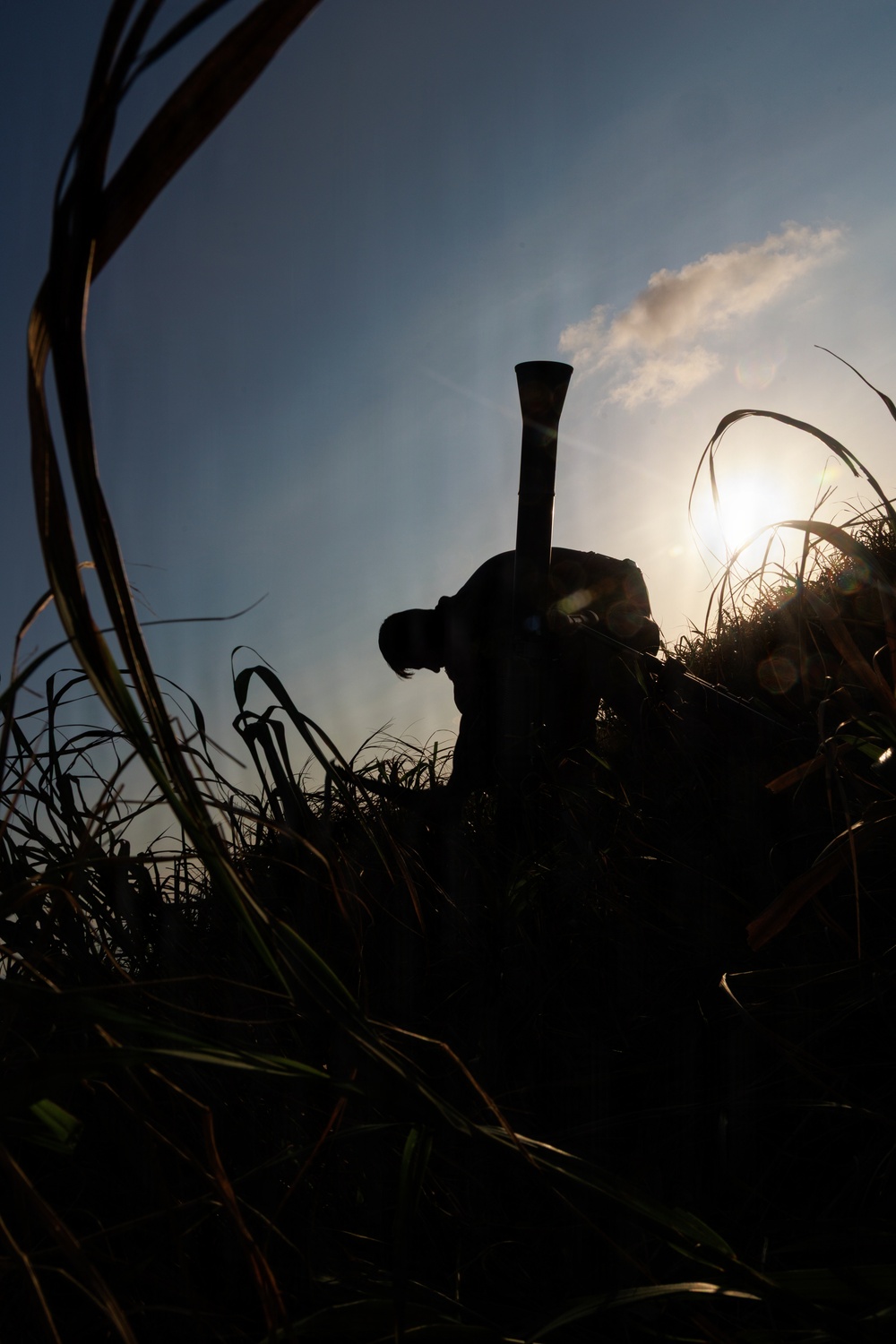 A silhouetted figure is working among tall grass or sugarcane stalks, backlit by a bright sun with lens flare visible. The person appears to be bent over in a labor-intensive posture, with a long-handled tool (likely a machete or similar agricultural implement) extending upward from their back or hand. The low-angle, ground-level composition creates a dramatic, high-contrast image against a partly cloudy blue sky.