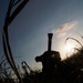 A silhouetted figure is working among tall grass or sugarcane stalks, backlit by a bright sun with lens flare visible. The person appears to be bent over in a labor-intensive posture, with a long-handled tool (likely a machete or similar agricultural implement) extending upward from their back or hand. The low-angle, ground-level composition creates a dramatic, high-contrast image against a partly cloudy blue sky.