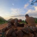 1st LAAD conducts live-fire drills