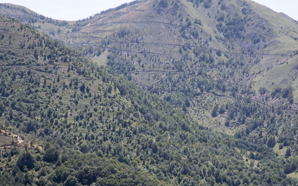 A group of approximately five soldiers in camouflage uniforms and tactical gear are positioned on a hilltop ridge overlooking a densely forested mountain valley. They appear to be observing or surveying the terrain below, with a large green mountain range serving as the backdrop. The scene suggests a military patrol or reconnaissance operation in a mountainous, rural environment.