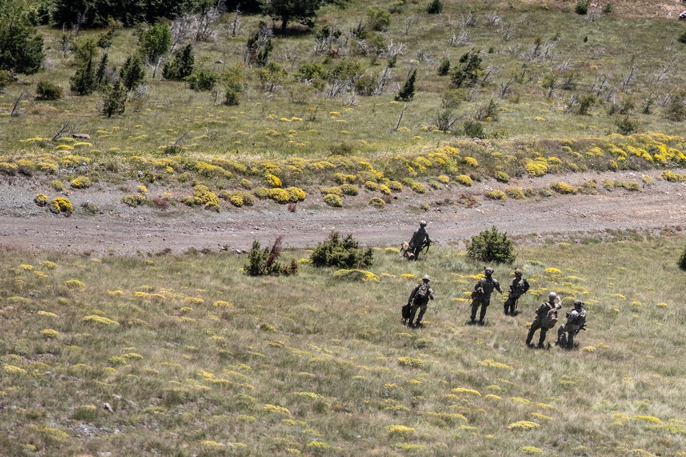 An aerial or elevated view shows a small group of approximately five individuals in military or tactical gear moving across an open grassy hillside terrain. They appear to be conducting a patrol or field exercise in a mountainous environment with scattered yellow flowering shrubs and sparse trees. The image is taken from a significant distance, suggesting observation from a high vantage point.