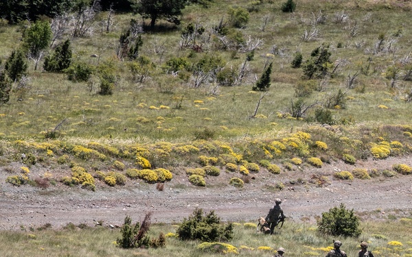 An aerial or elevated view shows a small group of approximately five individuals in military or tactical gear moving across an open grassy hillside terrain. They appear to be conducting a patrol or field exercise in a mountainous environment with scattered yellow flowering shrubs and sparse trees. The image is taken from a significant distance, suggesting observation from a high vantage point.