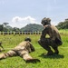 PANAMAX-26: Marines and partner forces conduct live-fire range