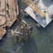 Coast Guard oversees removal of submerged crane in Charleston, South Carolina