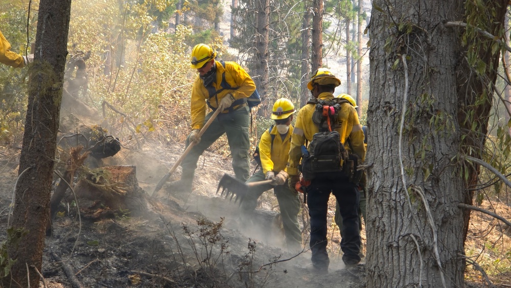 Three wildland firefighters in yellow Nomex protective gear are working together in a smoky forest environment, using hand tools to suppress or mop up a wildfire. The ground shows signs of recent burning with charred soil and scorched vegetation. The crew appears to be conducting mop-up operations, breaking apart smoldering debris to extinguish remaining hot spots.