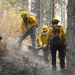 Three wildland firefighters in yellow Nomex protective gear are working together in a smoky forest environment, using hand tools to suppress or mop up a wildfire. The ground shows signs of recent burning with charred soil and scorched vegetation. The crew appears to be conducting mop-up operations, breaking apart smoldering debris to extinguish remaining hot spots.