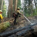 A crew of wildland firefighters works in a forested area to extinguish a ground fire, with one firefighter directing a water hose onto a charred, fallen log. The surrounding terrain shows evidence of recent burning, with scorched earth and blackened wood visible. Multiple crew members in standard wildland firefighting gear are visible working together on the hillside.