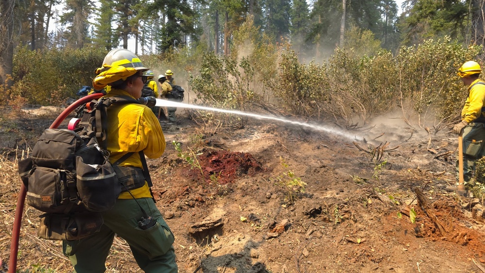 Wildland firefighters in standard yellow Nomex gear are working to suppress or mop up a forest fire in a coniferous woodland setting. The foreground firefighter is directing a pressurized water stream from a red hose onto scorched ground, while additional crew members are visible in the background. The terrain shows significant burn damage with charred soil, ash, and partially burned vegetation.