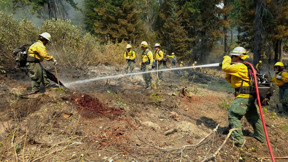 A crew of wildland firefighters in standard yellow Nomex gear and white hard hats are working to suppress or mop up a forest fire in a wooded area. One firefighter in the foreground is directing a red hose spraying water onto scorched ground, while several others stand in a line across the burned landscape. The surrounding forest shows signs of fire damage including charred soil, burned debris, and smoke still visible in the background.