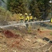 A crew of wildland firefighters in standard yellow Nomex gear and white hard hats are working to suppress or mop up a forest fire in a wooded area. One firefighter in the foreground is directing a red hose spraying water onto scorched ground, while several others stand in a line across the burned landscape. The surrounding forest shows signs of fire damage including charred soil, burned debris, and smoke still visible in the background.