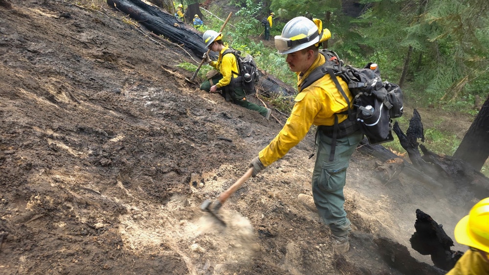 A crew of wildland firefighters in standard yellow Nomex gear and hard hats work on a steep, fire-scorched hillside in a forested area. The workers appear to be conducting mop-up operations, using hand tools to dig and stir soil to extinguish remaining hot spots after a forest fire. Green, unburned trees are visible in the background, indicating the fire line is being contained.