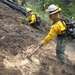A crew of wildland firefighters in standard yellow Nomex gear and hard hats work on a steep, fire-scorched hillside in a forested area. The workers appear to be conducting mop-up operations, using hand tools to dig and stir soil to extinguish remaining hot spots after a forest fire. Green, unburned trees are visible in the background, indicating the fire line is being contained.