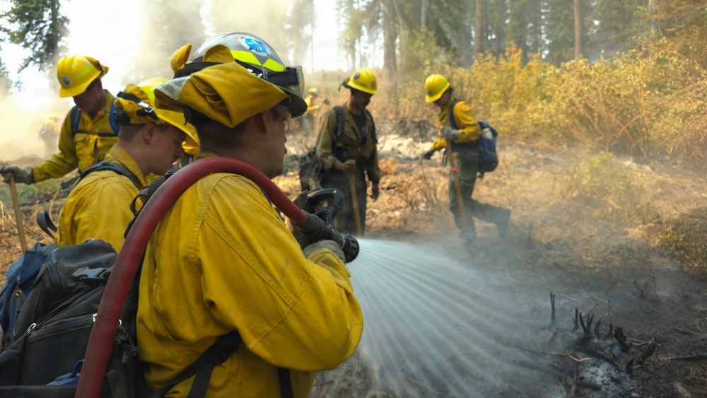A crew of wildland firefighters in yellow Nomex protective gear work to suppress a forest fire in a wooded area. One firefighter in the foreground is actively directing water from a red hose onto scorched ground, while other crew members are visible in the smoky background. The scene shows a partially burned forest floor with standing trees and shrubs still present.