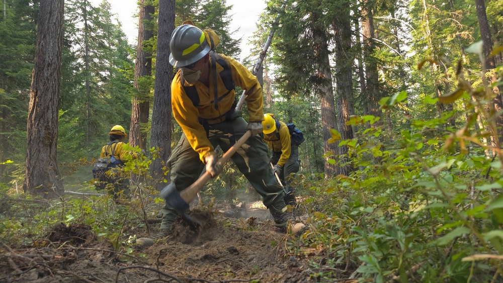 Wildland firefighters are actively constructing a fire line in a forested area, using hand tools to clear vegetation and soil. At least three workers are visible, wearing standard wildland firefighting gear including yellow Nomex shirts, green pants, hard hats, and gloves. Smoke or dust is visible near the ground, suggesting active digging in potentially smoldering terrain.