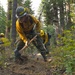 Wildland firefighters are actively constructing a fire line in a forested area, using hand tools to clear vegetation and soil. At least three workers are visible, wearing standard wildland firefighting gear including yellow Nomex shirts, green pants, hard hats, and gloves. Smoke or dust is visible near the ground, suggesting active digging in potentially smoldering terrain.