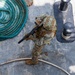 An aerial/overhead view of a fully equipped military or special operations soldier standing on the metal deck of a vessel. The soldier is wearing multicam camouflage, a tactical helmet, body armor, and a backpack, and is holding a rifle in a ready position. The deck features a coiled teal/green mooring rope and black mooring bollards.