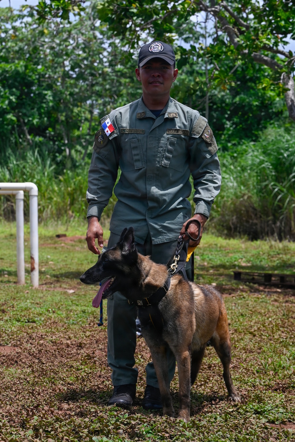 A uniformed law enforcement officer stands outdoors with a Belgian Malinois K-9 on a leash and harness. The officer wears a gray-green uniform with a Panamanian flag patch on the left shoulder, a name tape reading 'L. FERNANDEZ,' and a cap with an insignia. The setting appears to be a training or outdoor operational area surrounded by tropical vegetation.