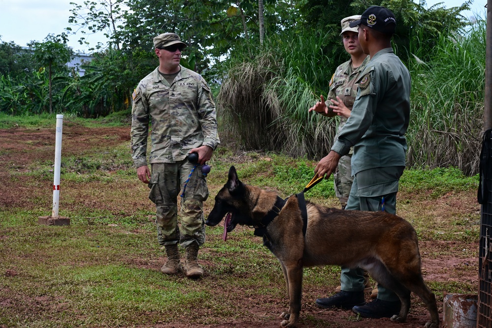A U.S. Army soldier and two other military personnel, one in a different uniform, are gathered outdoors in a tropical setting with a military working dog, likely a Belgian Malinois. The individuals appear to be engaged in a discussion, possibly during a joint training exercise or K9 demonstration. The setting suggests an international military cooperation or exchange event.