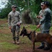 A U.S. Army soldier and two other military personnel, one in a different uniform, are gathered outdoors in a tropical setting with a military working dog, likely a Belgian Malinois. The individuals appear to be engaged in a discussion, possibly during a joint training exercise or K9 demonstration. The setting suggests an international military cooperation or exchange event.