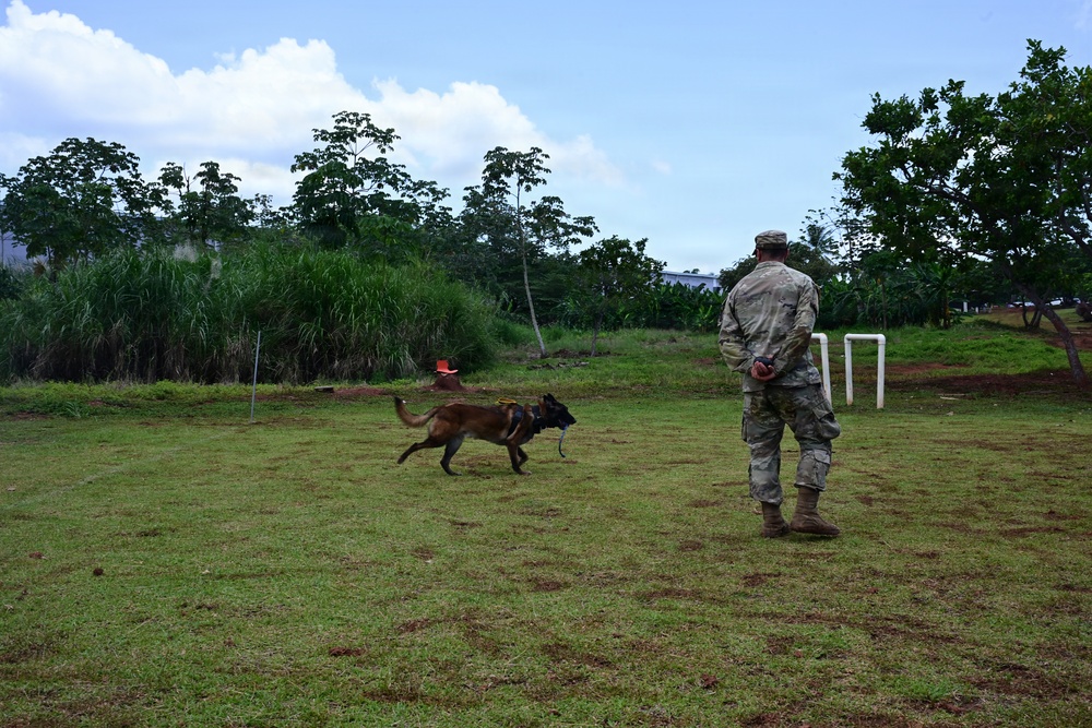 A military service member in camouflage uniform stands on a grass field observing a Belgian Malinois or similar working dog during what appears to be a training exercise. The dog is moving across the field toward an orange marker or cone in the background. The setting appears to be an outdoor military working dog training area with tropical vegetation visible in the background.