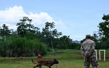 Joint Task Force-Bravo conducts military working dogs bilateral training with Panama’s Policía Nacional