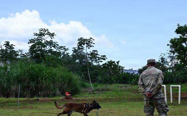 Joint Task Force-Bravo conducts military working dogs bilateral training with Panama’s Policía Nacional