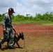 A uniformed officer wearing a Panamanian flag patch on his sleeve walks a Belgian Malinois on a leash across a grassy field. The setting appears to be an outdoor training area with red clay soil and green vegetation in the background. This appears to be a K-9 unit training or demonstration exercise.