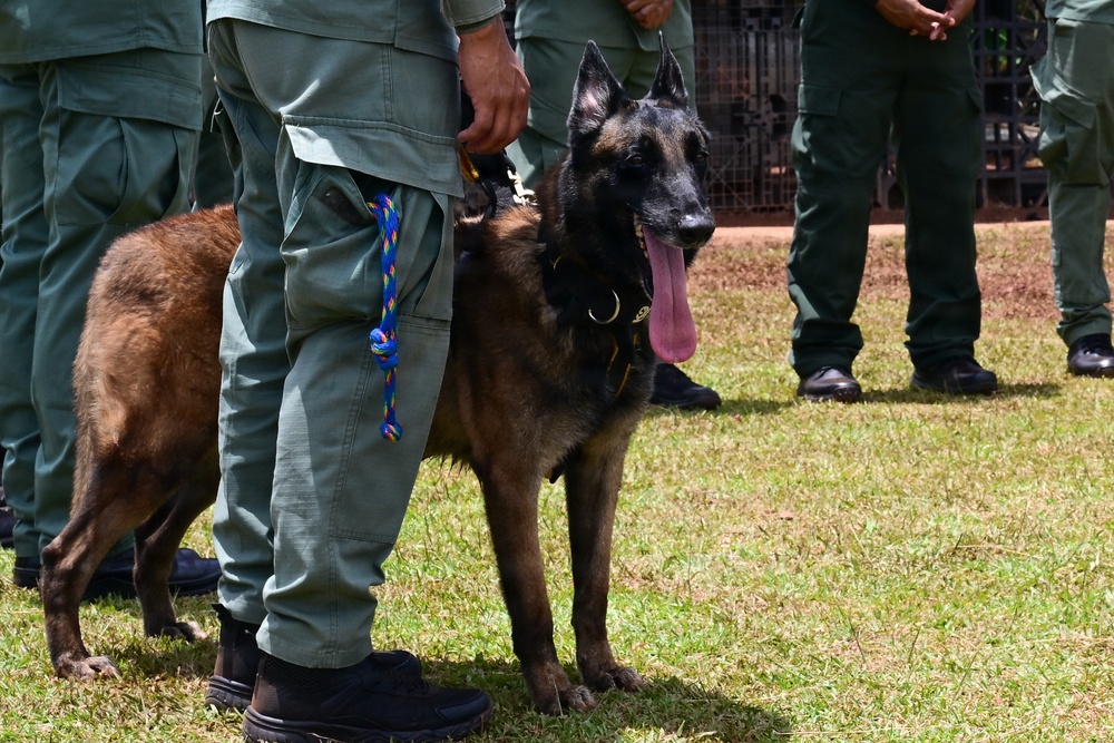 A Belgian Malinois working dog is standing on grass alongside a handler dressed in olive/sage green military or law enforcement uniform. The dog is wearing a tactical collar and is held by a colorful braided leash. Multiple similarly uniformed personnel are visible in the background, suggesting a formal K9 unit gathering or demonstration.