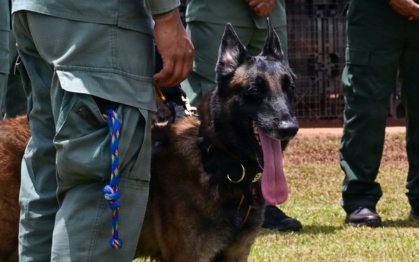 Joint Task Force-Bravo conducts military working dogs bilateral training with Panama’s Policía Nacional
