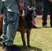 A Belgian Malinois working dog is standing on grass alongside a handler dressed in olive/sage green military or law enforcement uniform. The dog is wearing a tactical collar and is held by a colorful braided leash. Multiple similarly uniformed personnel are visible in the background, suggesting a formal K9 unit gathering or demonstration.