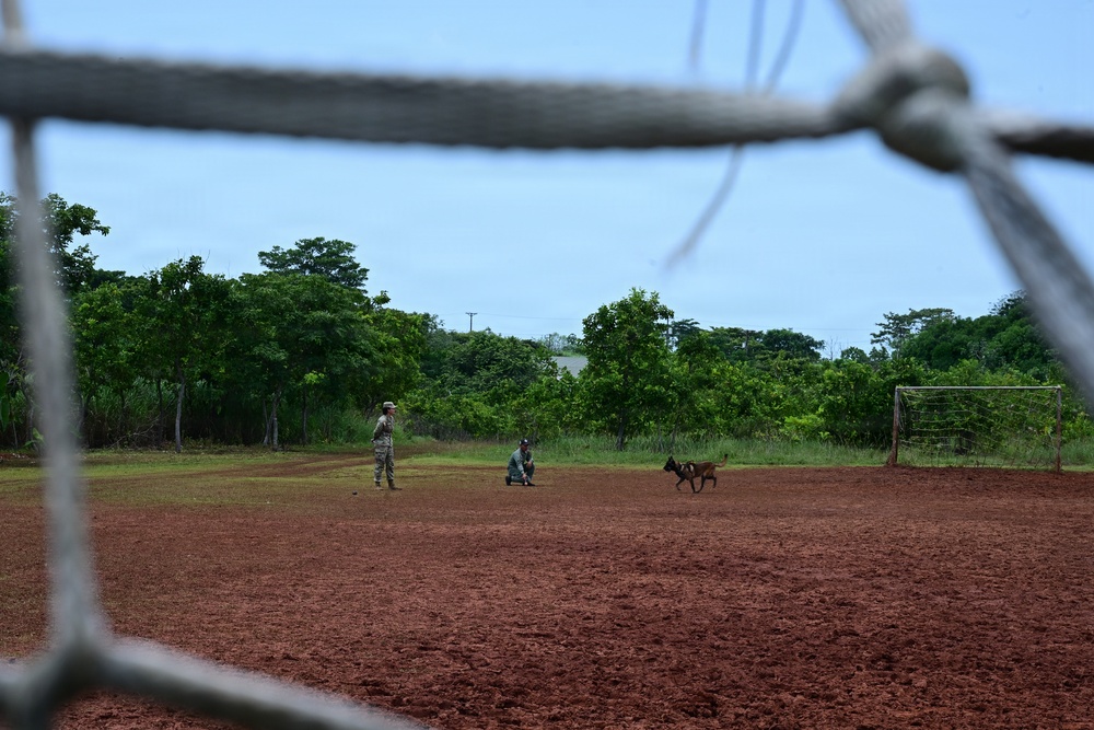 The image is taken through a chain-link fence or goal net, showing a dirt field that appears to be a sports ground. Two individuals in camouflage military uniforms are present on the field along with a dog, suggesting a military working dog (MWD) training exercise. A soccer goal post is visible in the background right, and dense tropical vegetation lines the perimeter.