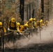 A crew of wildland firefighters in yellow protective gear and hard hats work in a line through a burned forest area. They are using hand tools such as axes and pulaskis to clear debris and create or reinforce a fire line. The scene shows significant fire damage to the surrounding trees and ground, with dust and smoke visible in the air.