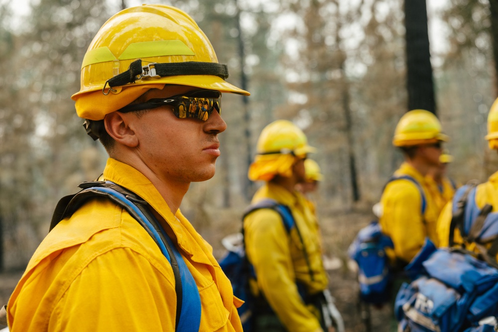 The image shows a group of wildland firefighters in a burned forest environment. They are wearing standard wildland firefighting gear including yellow Nomex shirts, yellow hard hats, and protective sunglasses, with blue backpacks visible. The foreground subject is in sharp focus while additional crew members are visible in the background in a line formation.