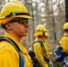 The image shows a group of wildland firefighters in a burned forest environment. They are wearing standard wildland firefighting gear including yellow Nomex shirts, yellow hard hats, and protective sunglasses, with blue backpacks visible. The foreground subject is in sharp focus while additional crew members are visible in the background in a line formation.