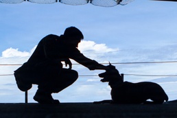 Defense Health Agency team wins program management award for securing FDA clearance of canine plasma