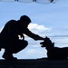 Defense Health Agency team wins program management award for securing FDA clearance of canine plasma
