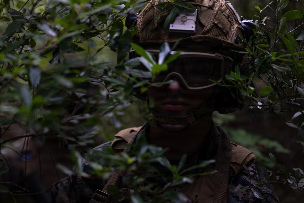 Combat Town: Burmese Chase 26