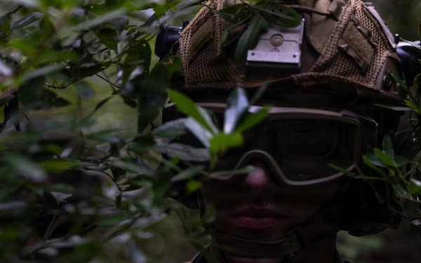 Combat Town: Burmese Chase 26