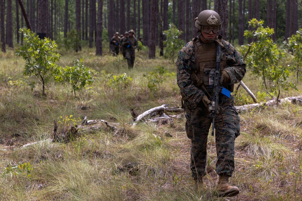 Combat Town: Burmese Chase 26