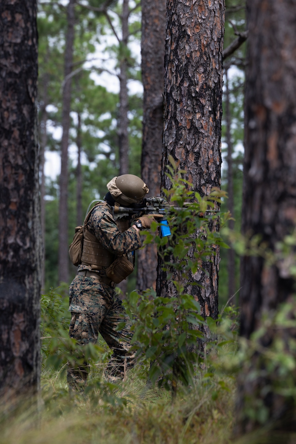 Combat Town: Burmese Chase 26