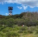 Ferris Fire