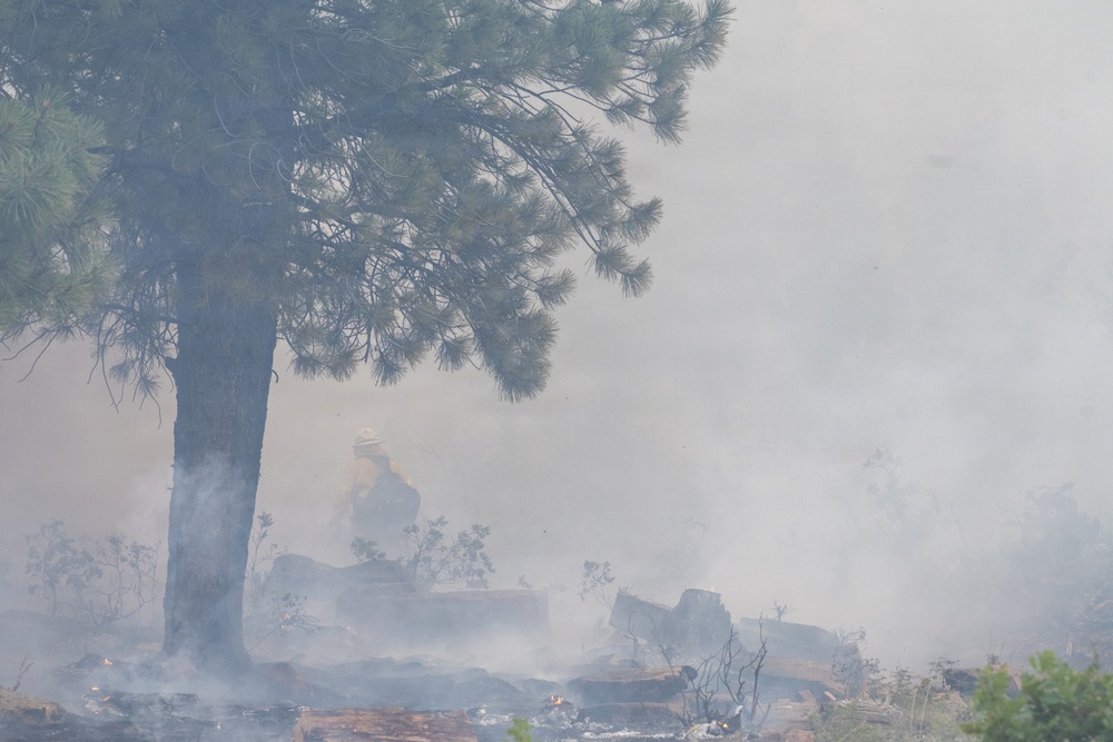 Ferris Fire