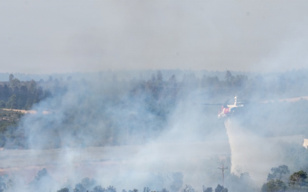 Ferris Fire