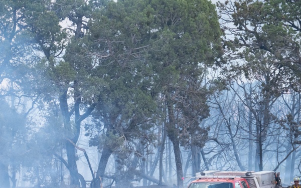 Ferris Fire