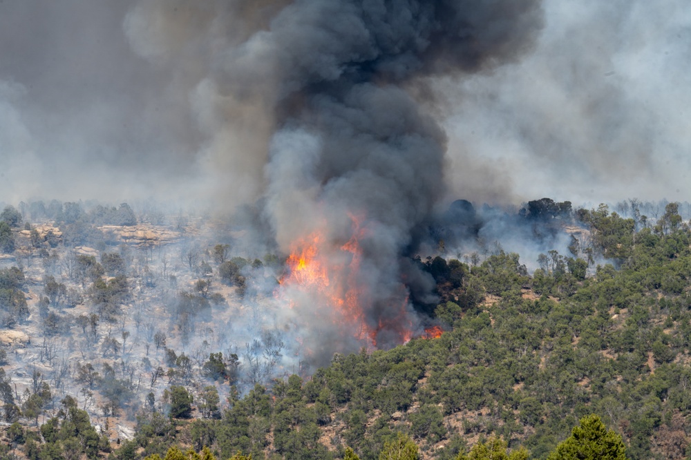 Ferris Fire
