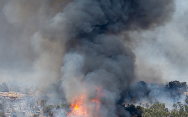 Ferris Fire