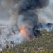 Ferris Fire