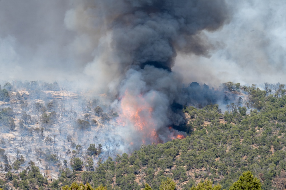 Ferris Fire