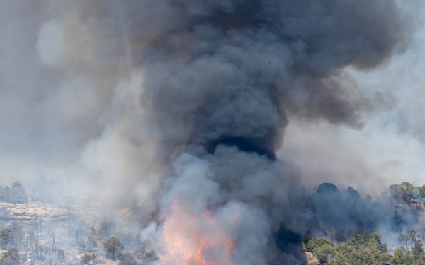 Ferris Fire